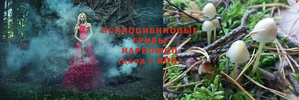 мет Вяземский