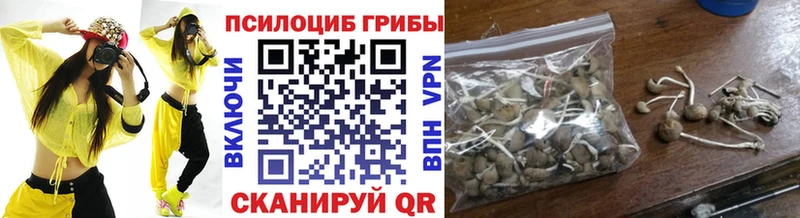 Купить  Старый Оскол  Галлюциногенные грибы мухоморы 